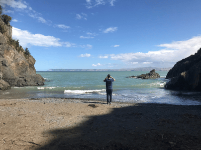 monkey bay rarangi