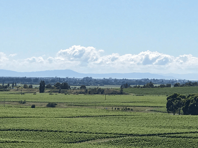 wairau plains expanse marlborough