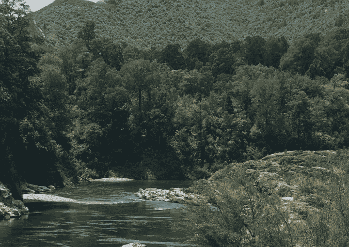 Pelorus River on route to Nelson