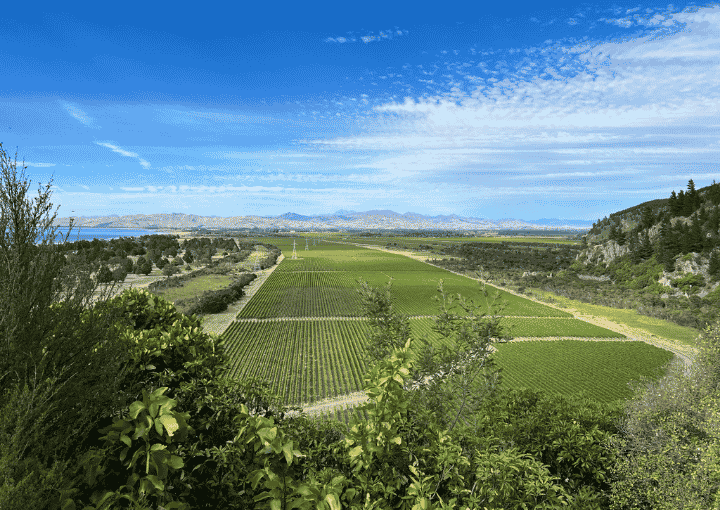 Cloudy Bay Coastal Landscape with Wither Hills Vineyards and Wairau Plains
