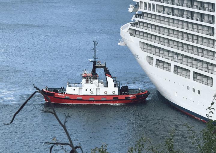 Port of Picton Pilot boat guides Cruise Ships Safely