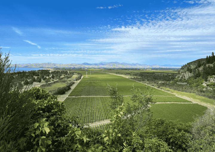 Top High View of the Pacific ocean Vineyards and Wairau Valley