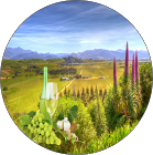 Marlborough Wine Tours