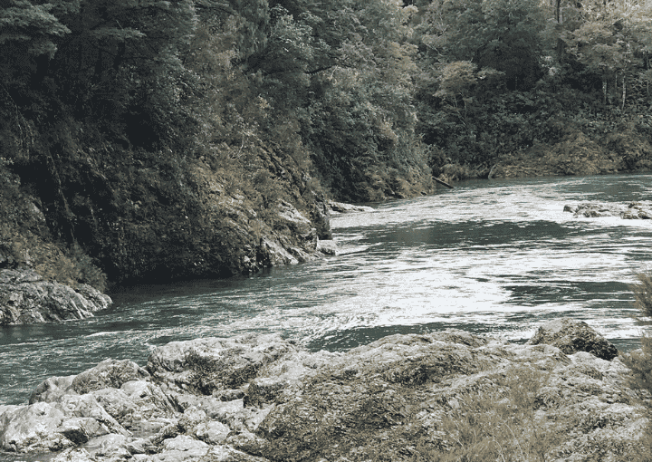 Pelorus on route to Nelson Hobbit playground